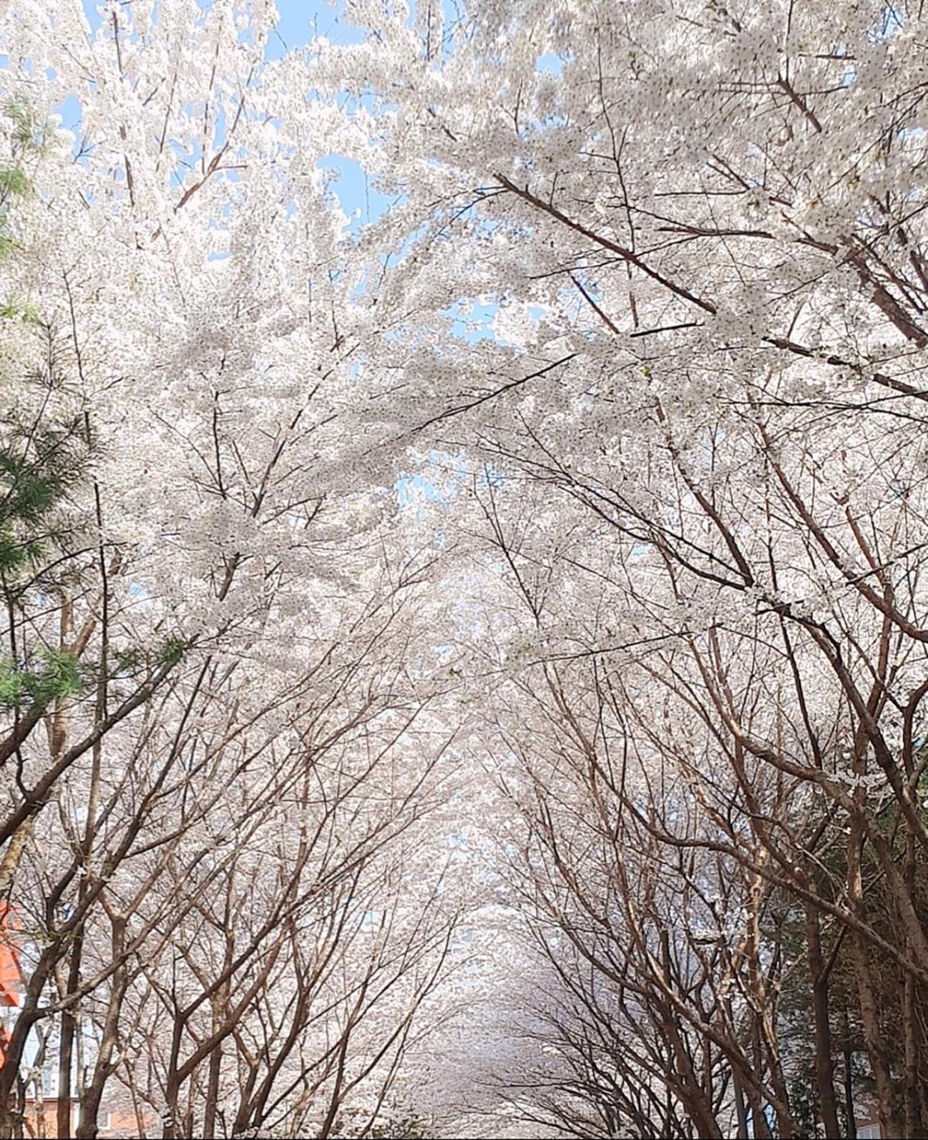 Hongik Sinchon Sirince อพาร์ทเม้น *